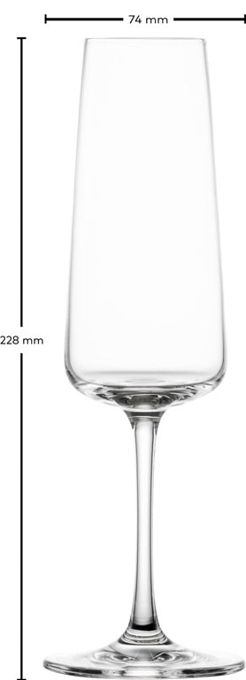 Schott Zwiesel MioVino Champagne Glass 26 Cl with Sparkling Point - 4 Pieces