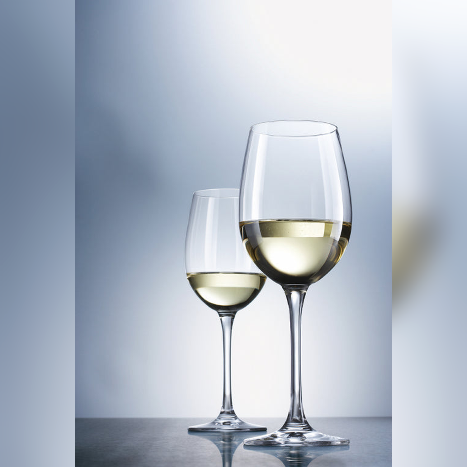Schott Zwiesel Classico / Ever Witte Wijnglas 31 Cl - 6 Stuks - Glazen.nl
