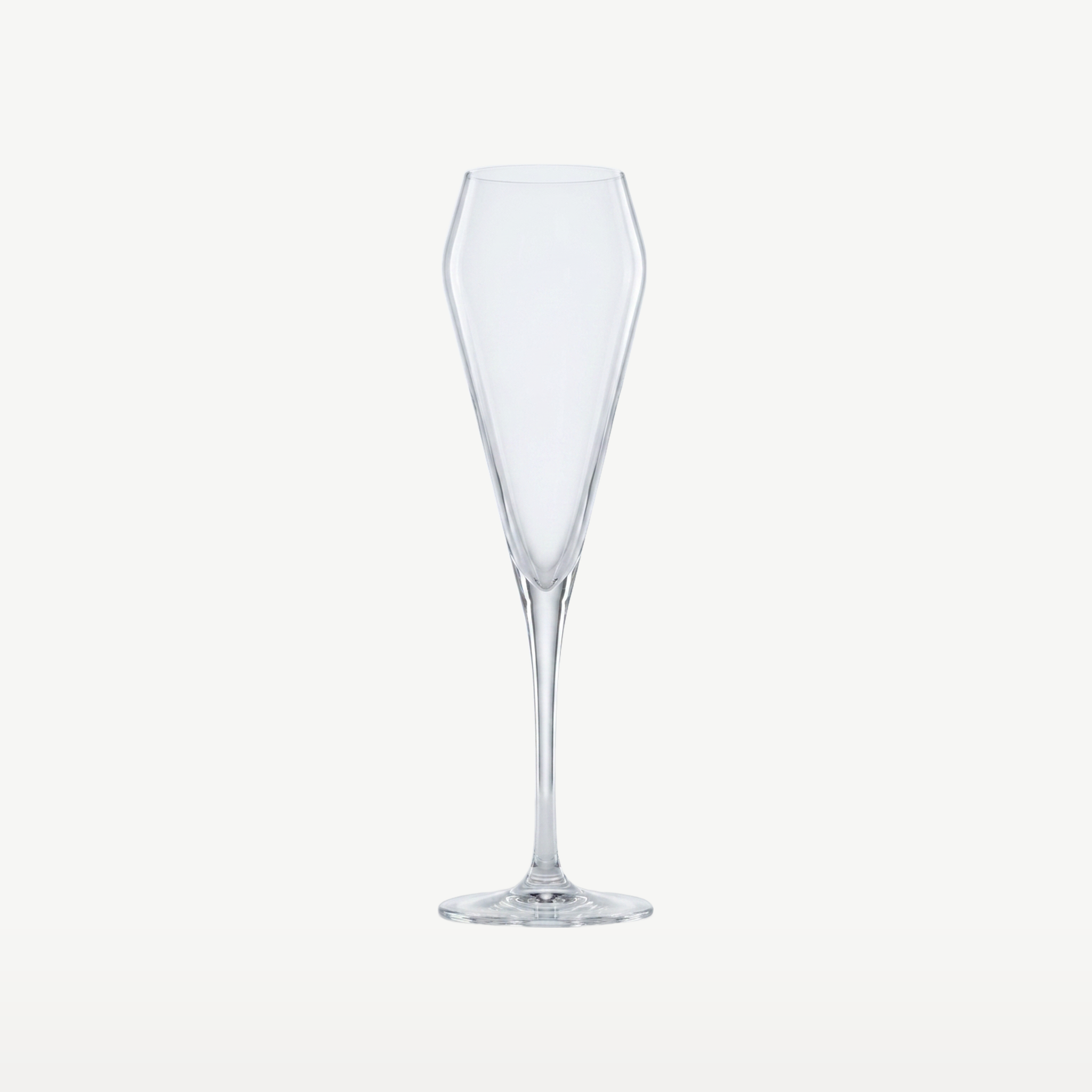Spiegelau Willsberger Anniversary Champagneglas / Flute 25,2 Cl - 12 Stuks - Glazen.nl