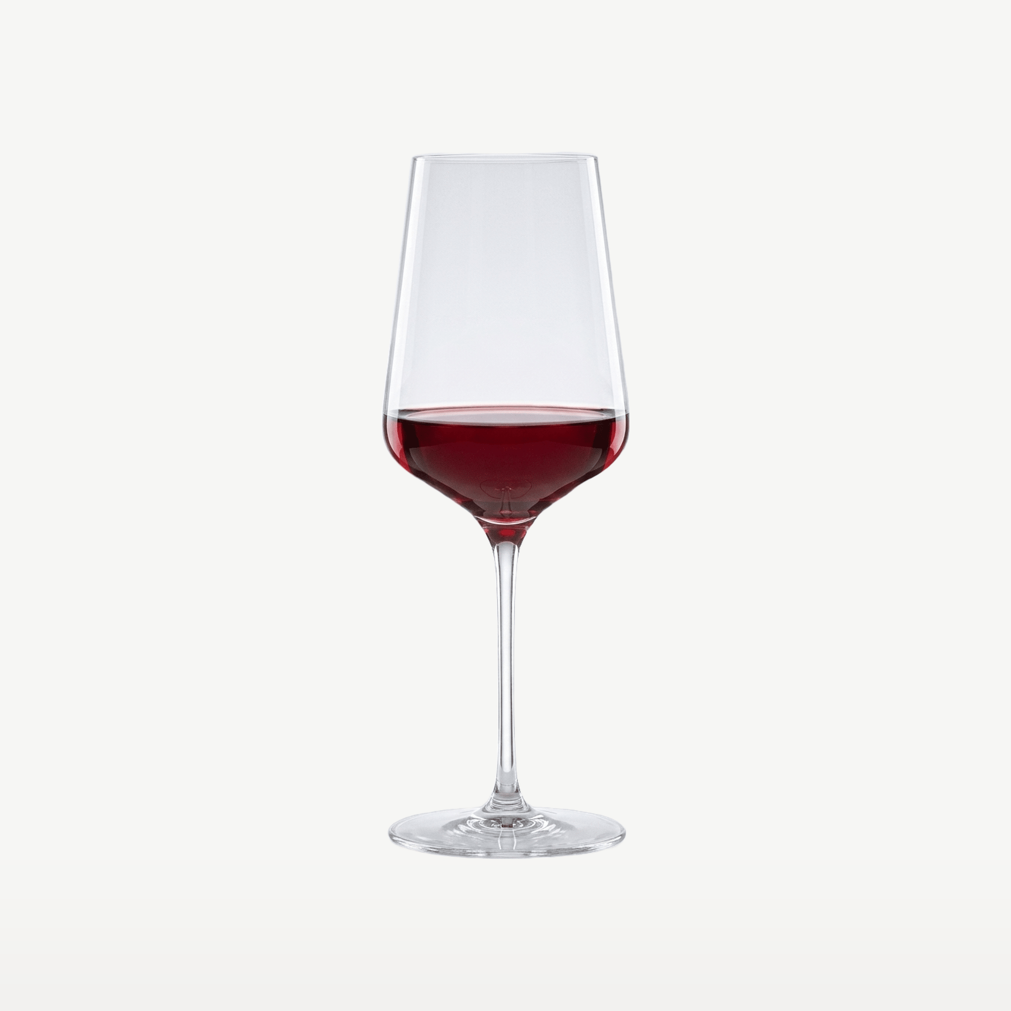 Spiegelau Hybrid Wijnglas 55 Cl - 12 Stuks - Glazen.nl