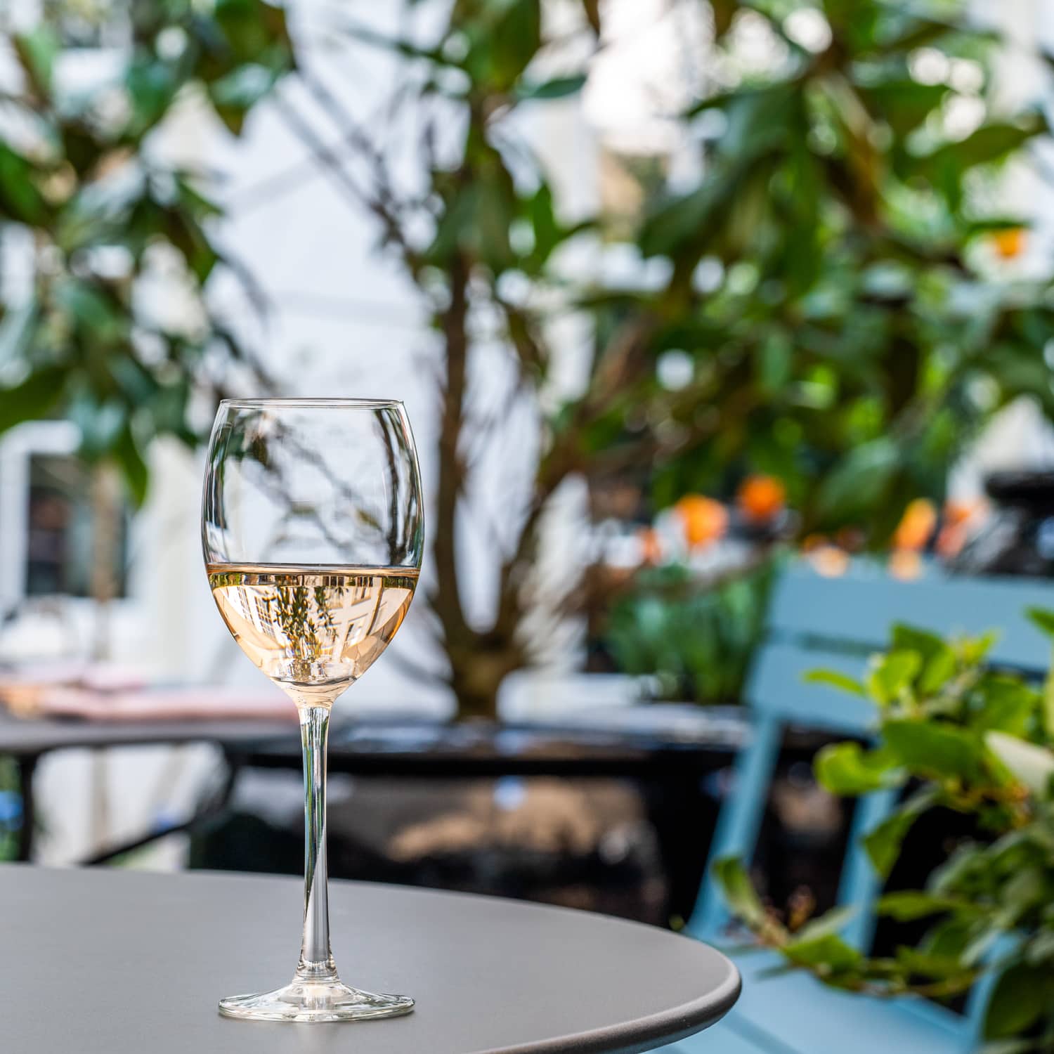 Royal Leerdam Plaza Wijnglas 44 Cl Hoog - 6 Stuks - Glazen.nl