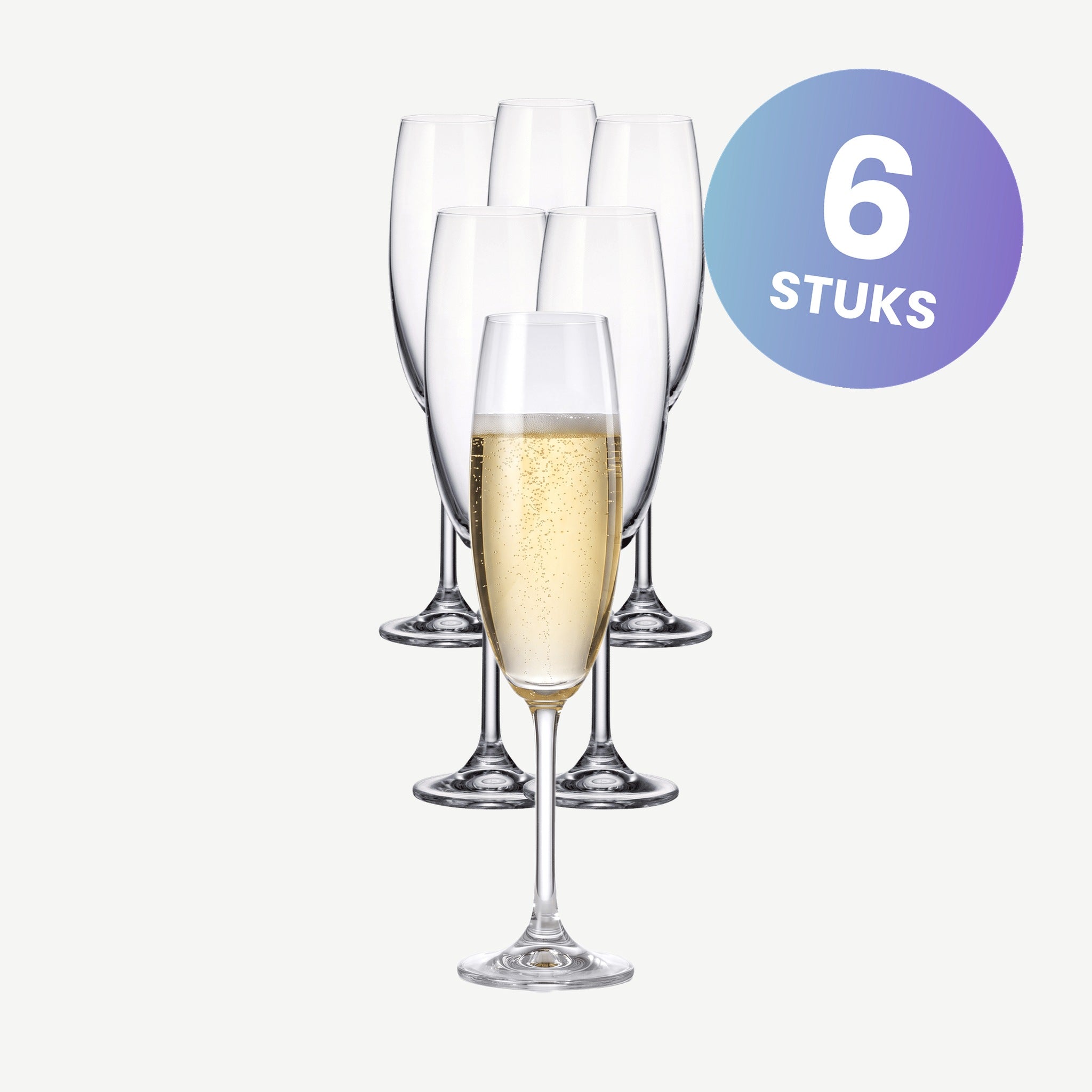 Bohemia Colibri Champagneglas / Flute 22 Cl - set van 6 glazen