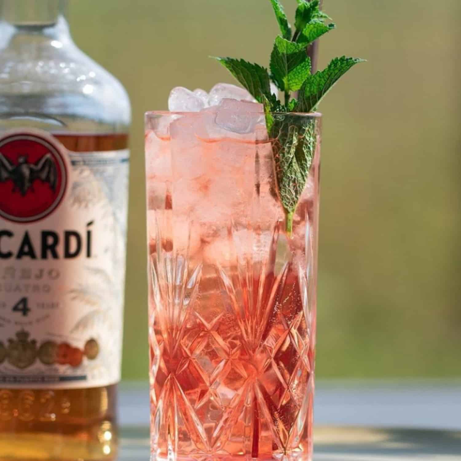 RCR Mixology Longdrinkglas 36 Cl - 44 Cl Assorti - Glazen.nl