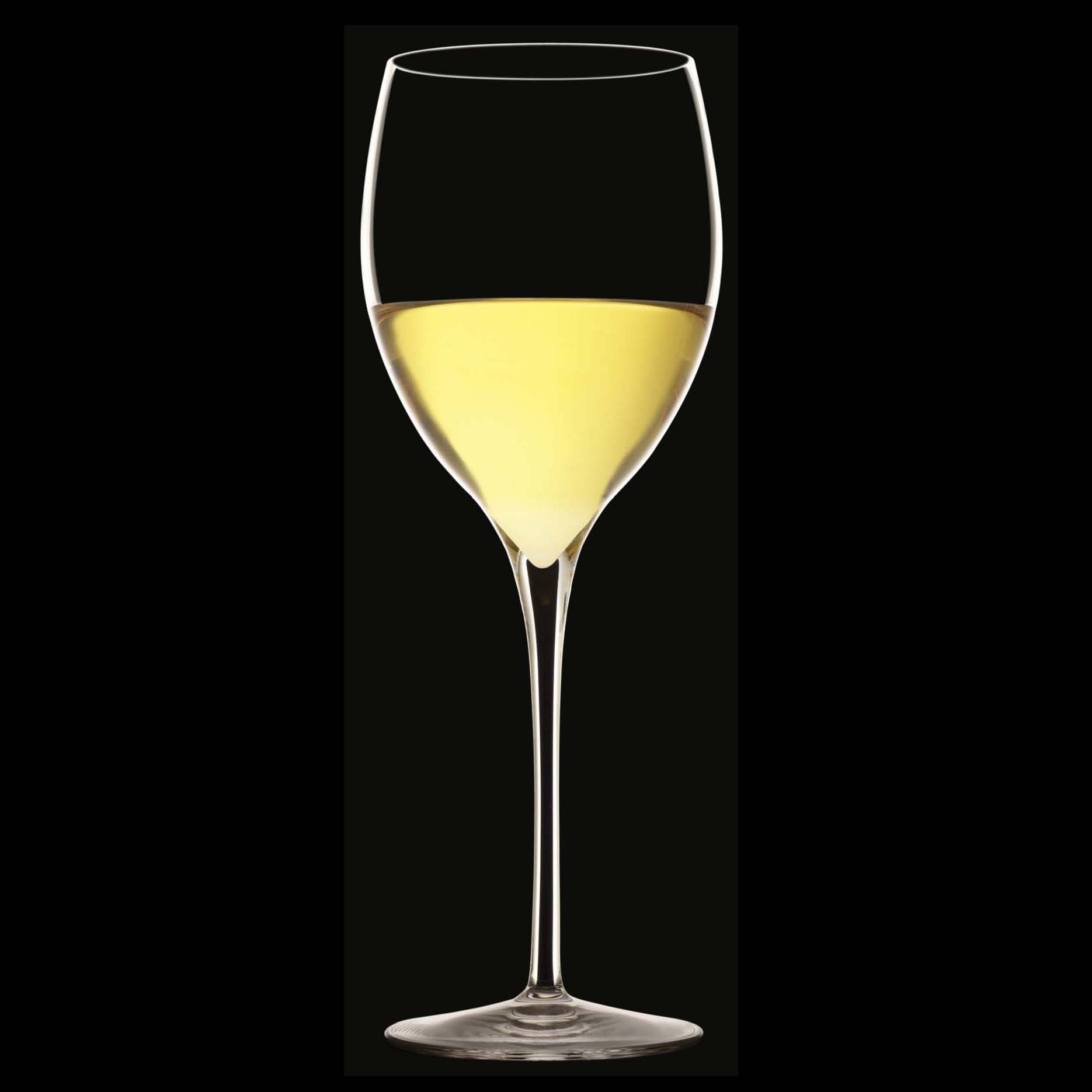 Luigi Bormioli Magnifico Champagneglas / Flute 32 Cl - 2 Stuks - Glazen.nl