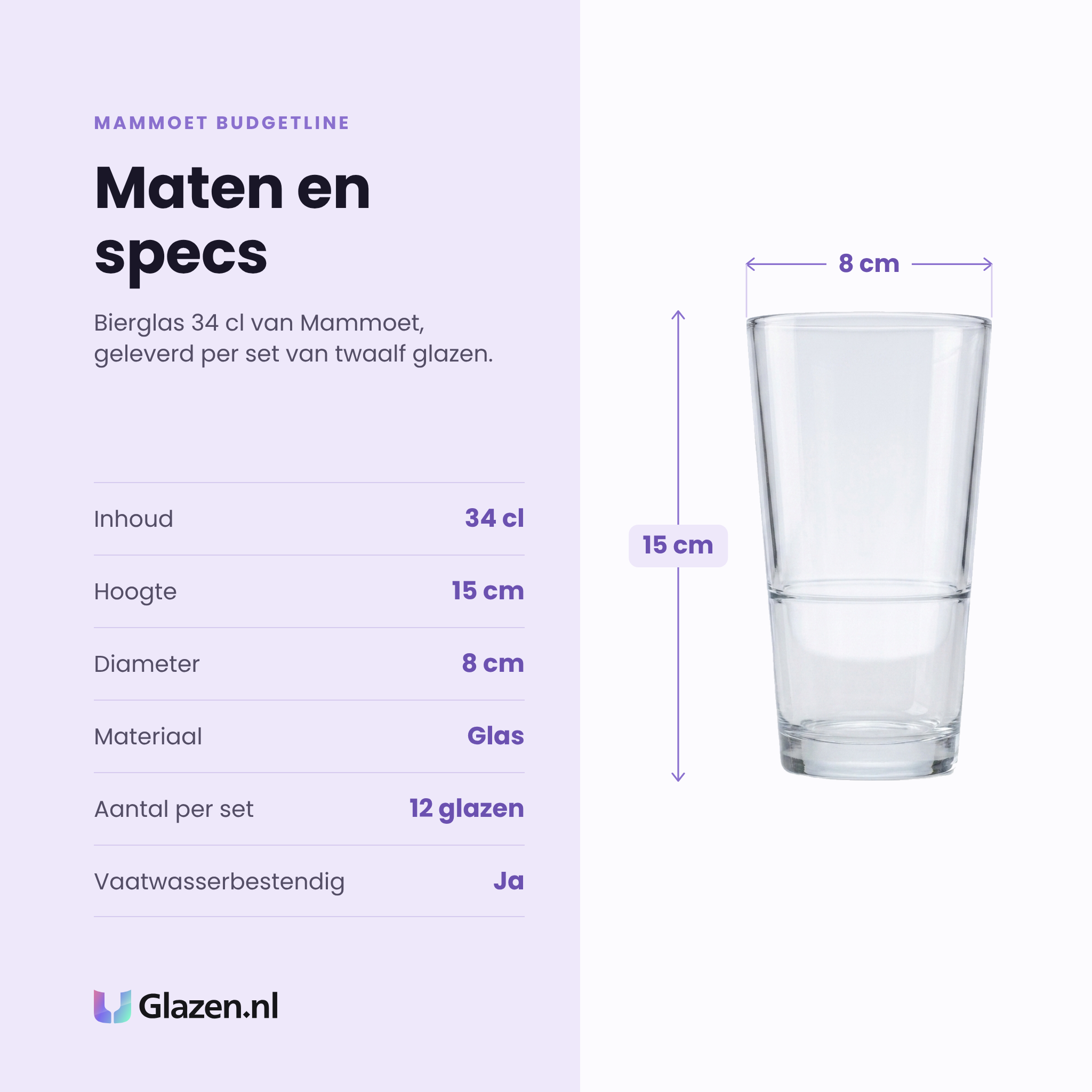 Mammoet Budgetline bierglas 34 cl specificaties: inhoud 34 cl, hoogte 15 cm, diameter 8 cm, glas, set van 12