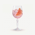 RCR Alkemist Gin Tonic Glas 67 Cl - 6 Stuks