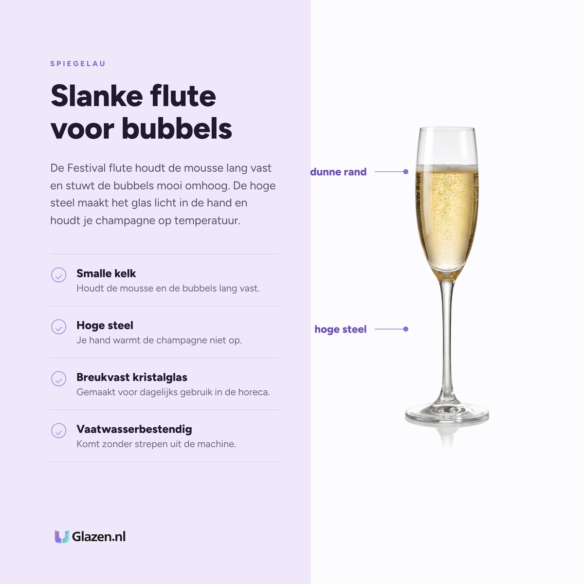 Infographic met de eigenschappen van het Spiegelau Festival champagneglas 16,8 cl