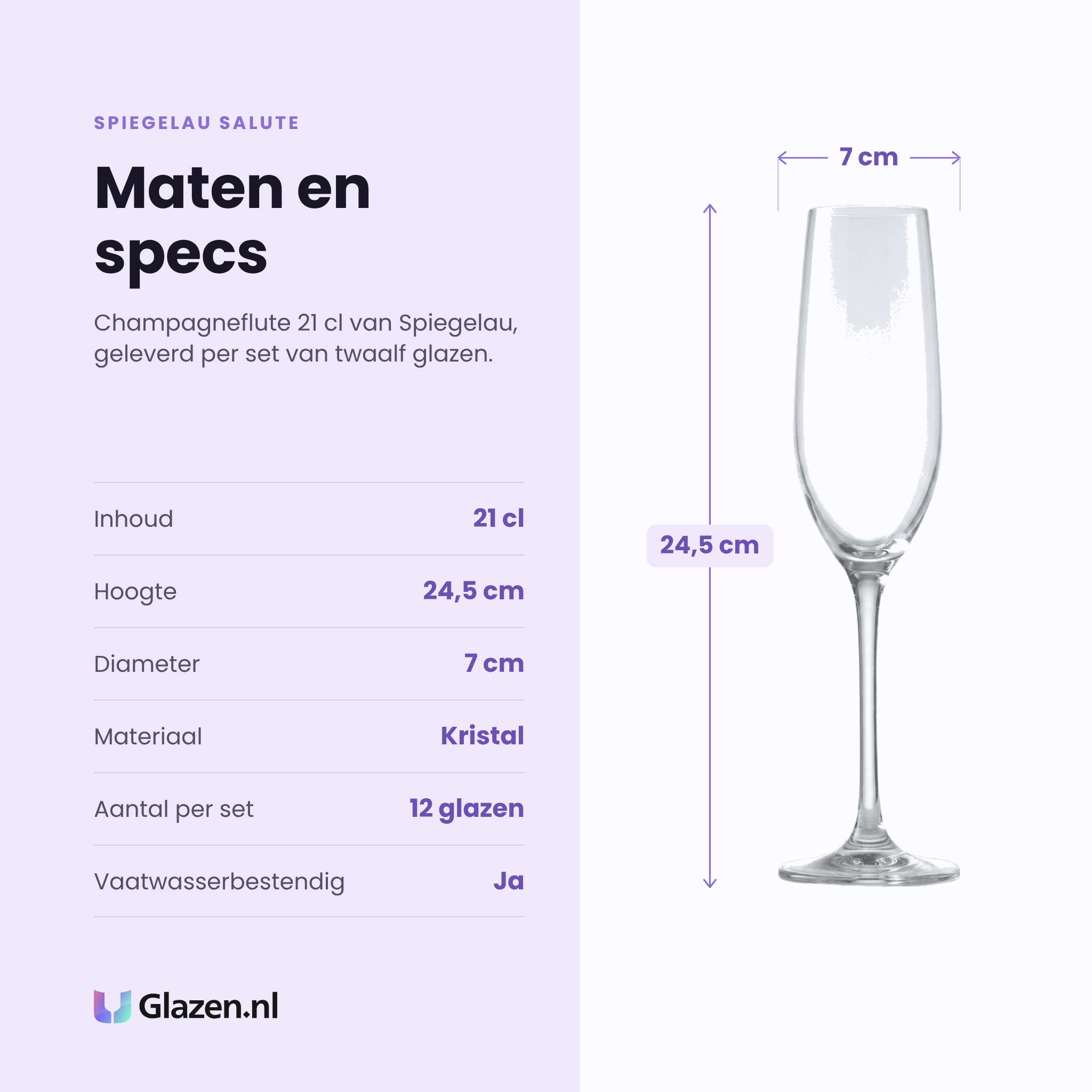 Spiegelau Salute champagneflute 21 cl specificaties: inhoud 21 cl, hoogte 24,5 cm, diameter 7 cm, kristal, set van 12