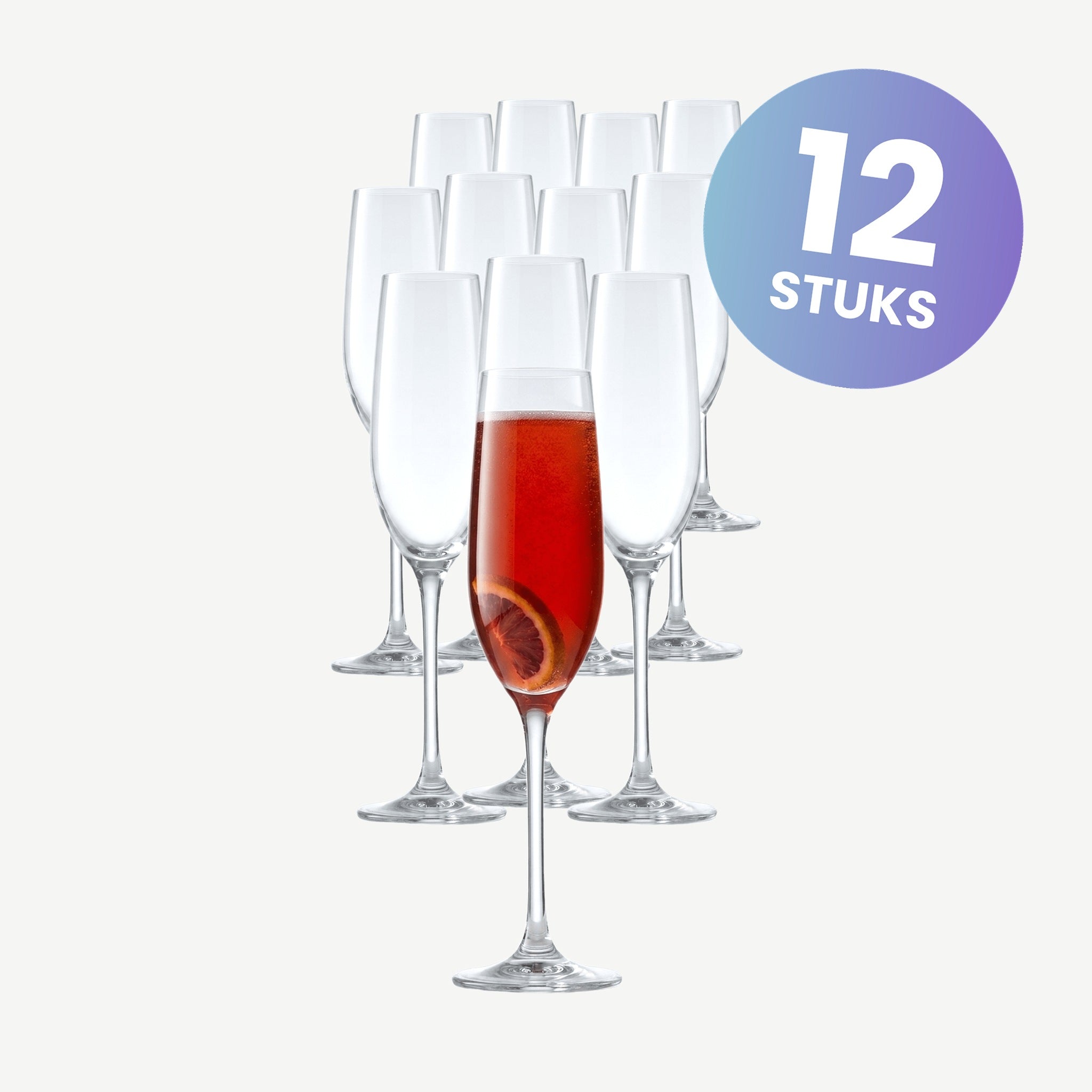 Spiegelau Salute Champagneglas / Flute 21 Cl - set van 12 glazen