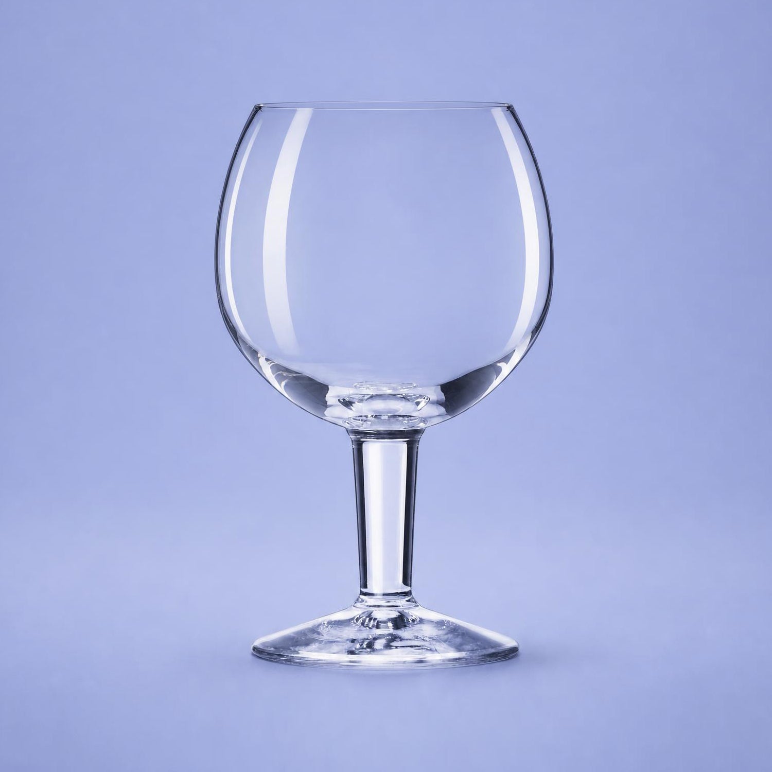 Royal Leerdam Grand Service Bierglas 41 Cl - 12 Stuks - Glazen.nl