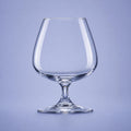 Arcoroc Degustation Cognacglas 15 Cl - 12 Stuks