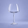 Onis New Era Gin Tonic Glas 59 Cl - 6 Stuks