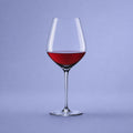 Spiegelau Authentis Wijnglas 70 Cl Burgundy - 12 Stuks