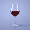 Spiegelau Salute Wijnglas 81 Cl - 12 Stuks