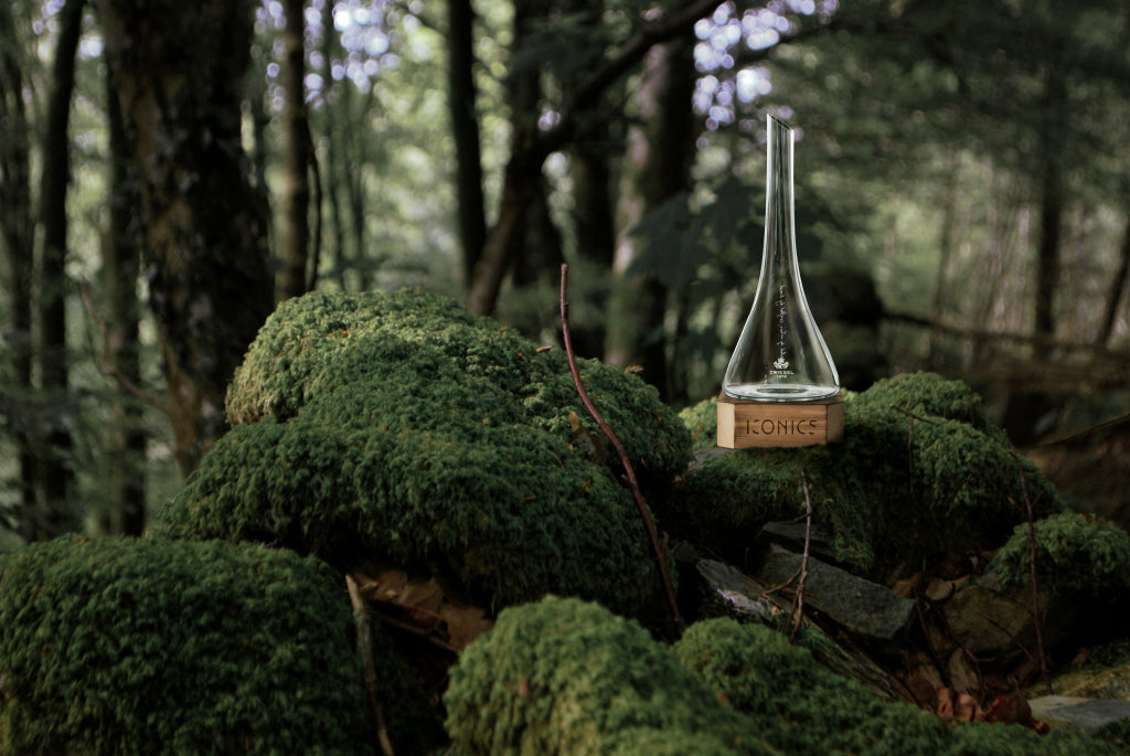 Zwiesel Glas Iconics Decanteerkaraf 75 Cl met Houten Voet