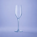 Chef & Sommelier Sequence Champagneglas / Flute 17 Cl - 6 Stuks