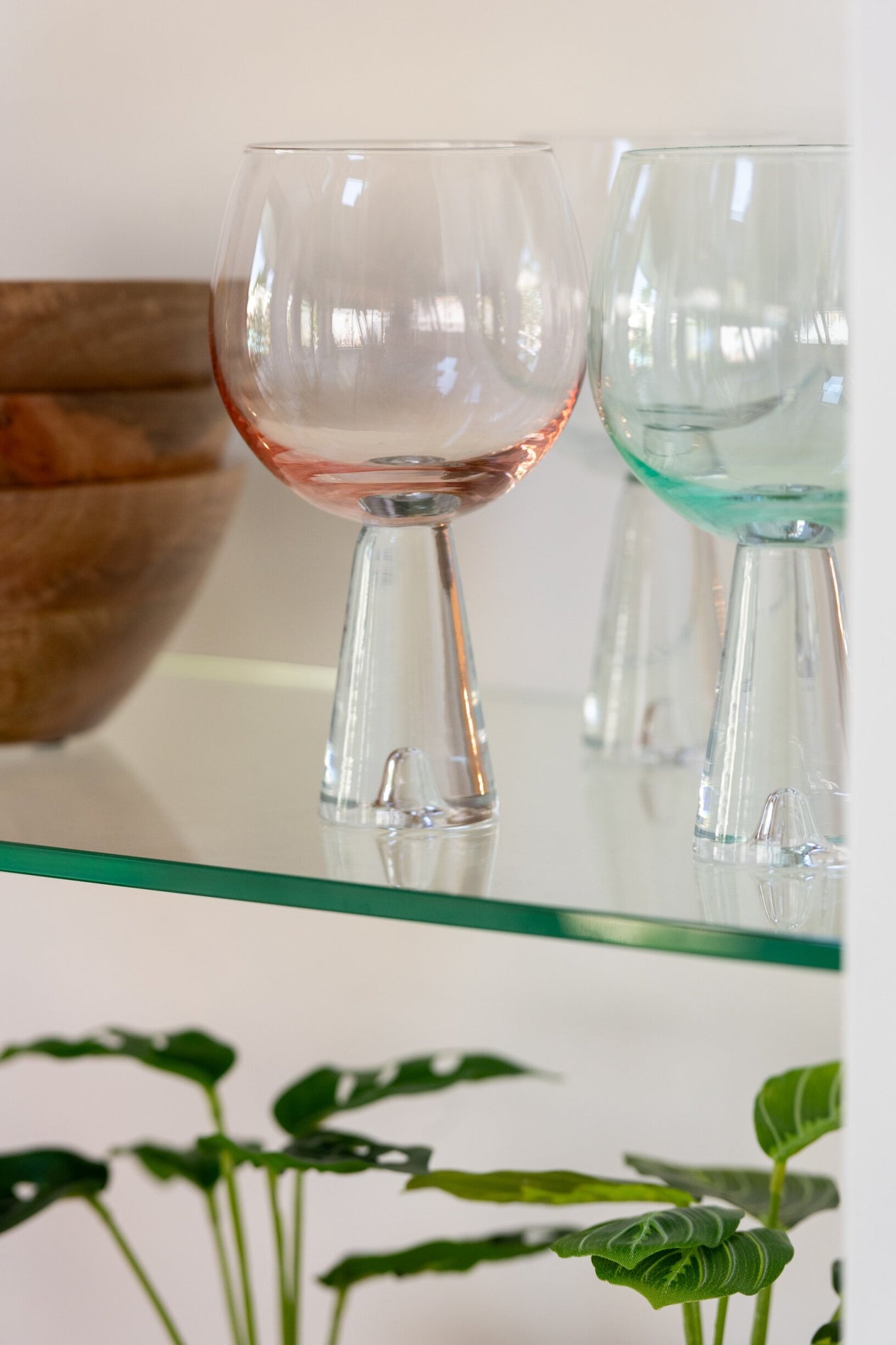 J-Line Walker Coupe Champagne Glass Transparent
