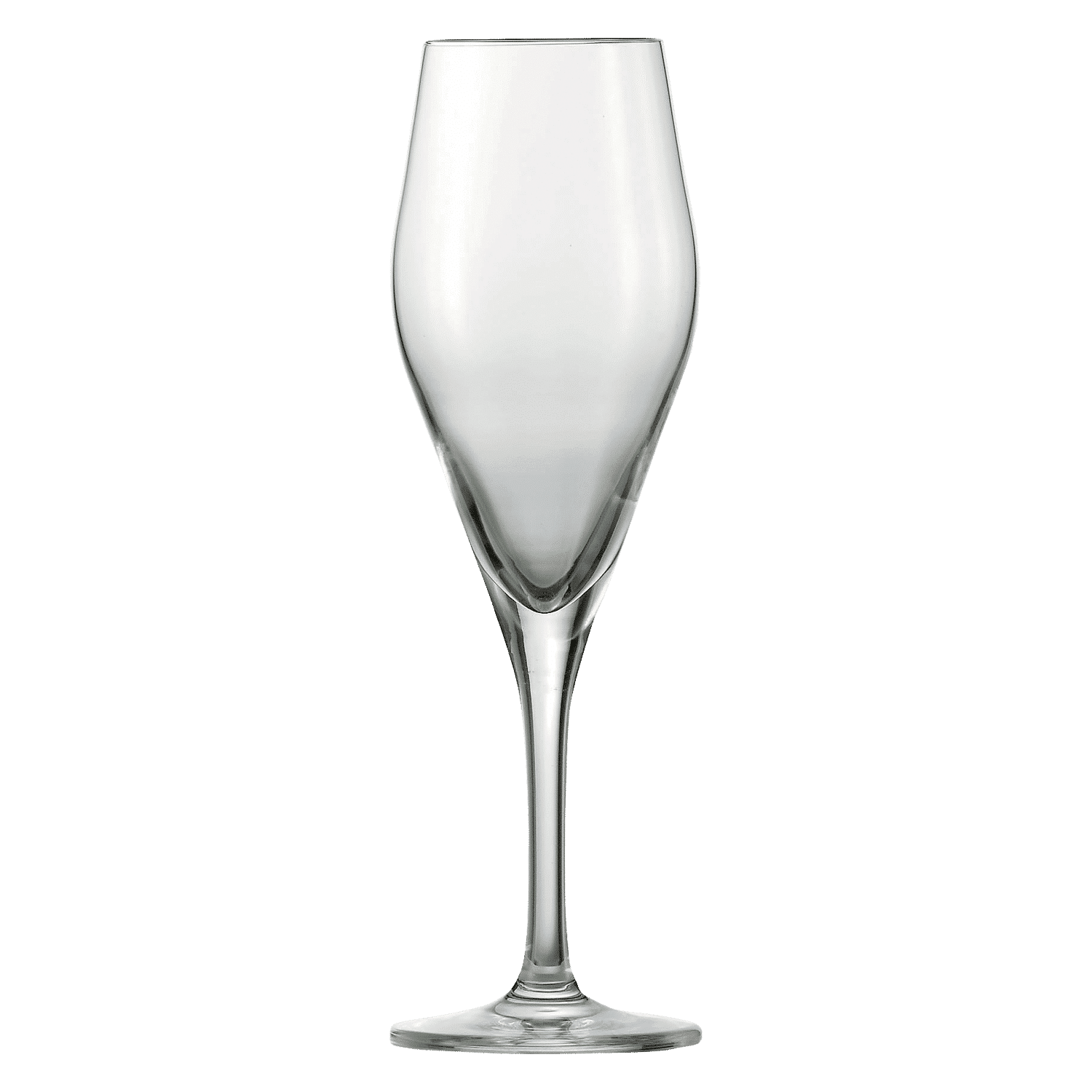 Schott Zwiesel Audience Champagneglas / Flute 25 cl - 6 Stuks - Glazen.nl