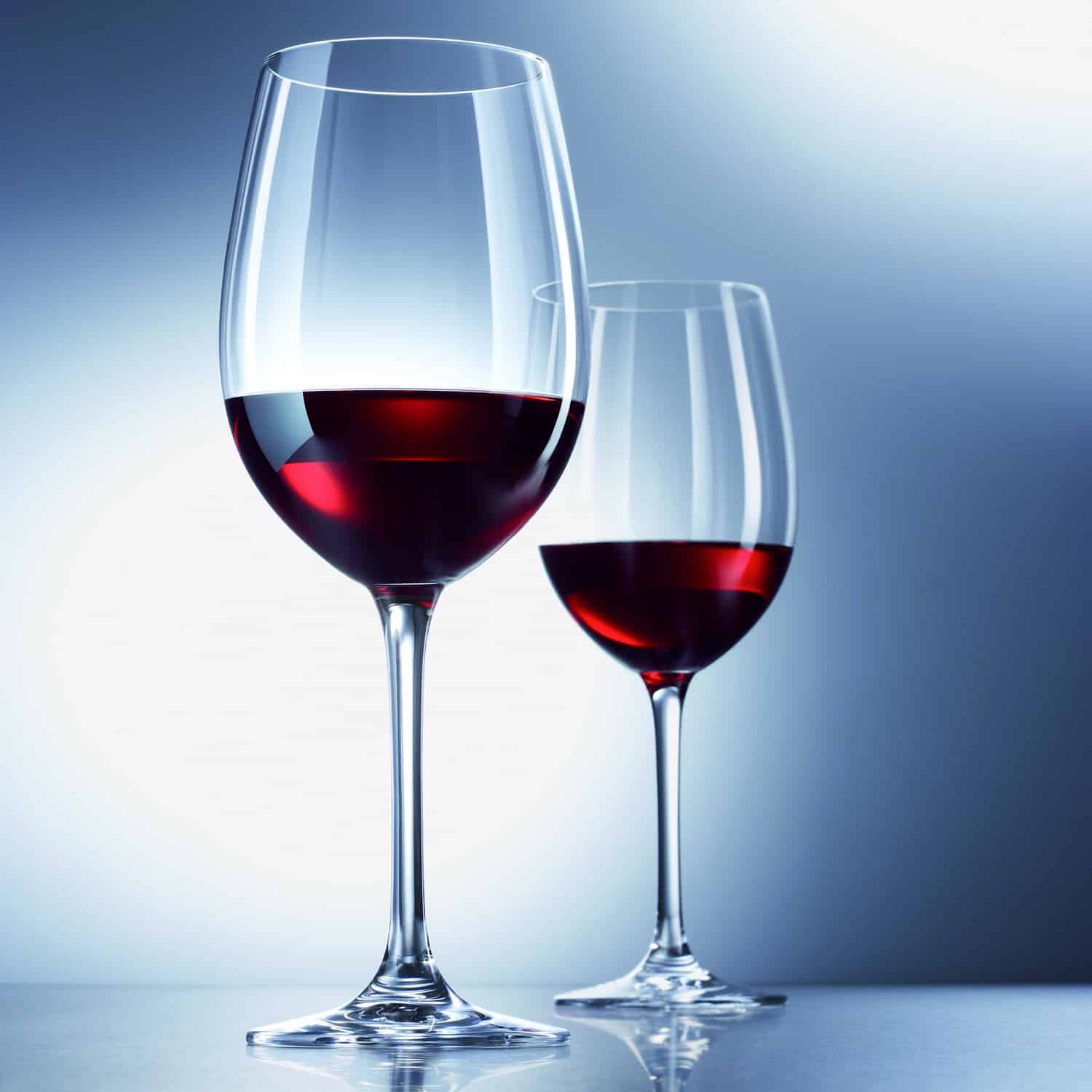 Schott Zwiesel Classico / Ever Wijnglas 40,8 cl - 6 Stuks - Glazen.nl