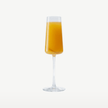 Stölzle Lausitz Power Champagne Glass / Flute 24 Cl - 6 Pieces