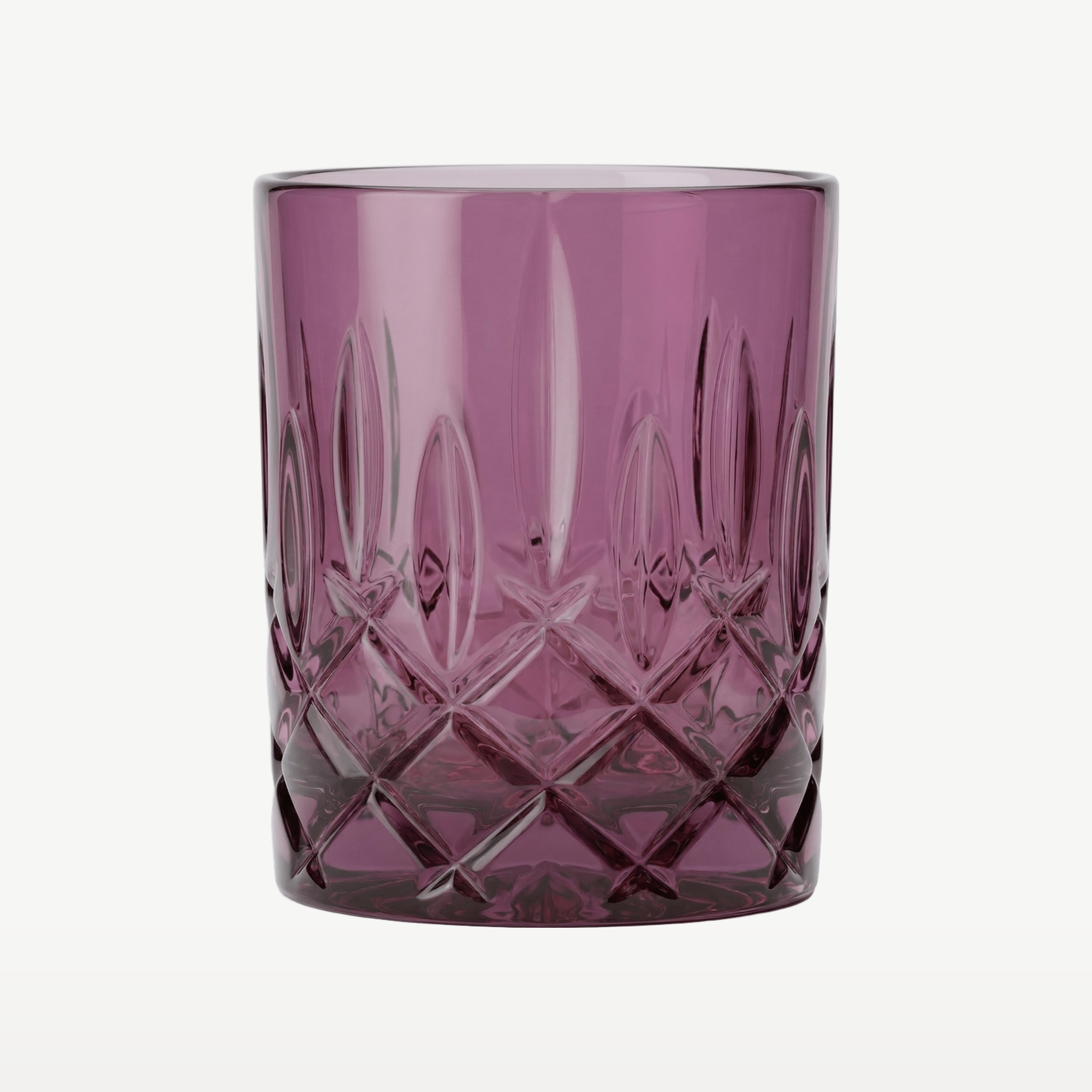 Nachtmann Noblesse Tumbler 29,5 Cl Paars - 2 Stuks - Glazen.nl