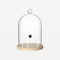 Bar Professional Glass Dome for Cocktail Smoker 24 Cm