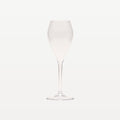 Bar Professional Lounge Champagneglas / Flute Kunststof 24 Cl - 6 Stuks