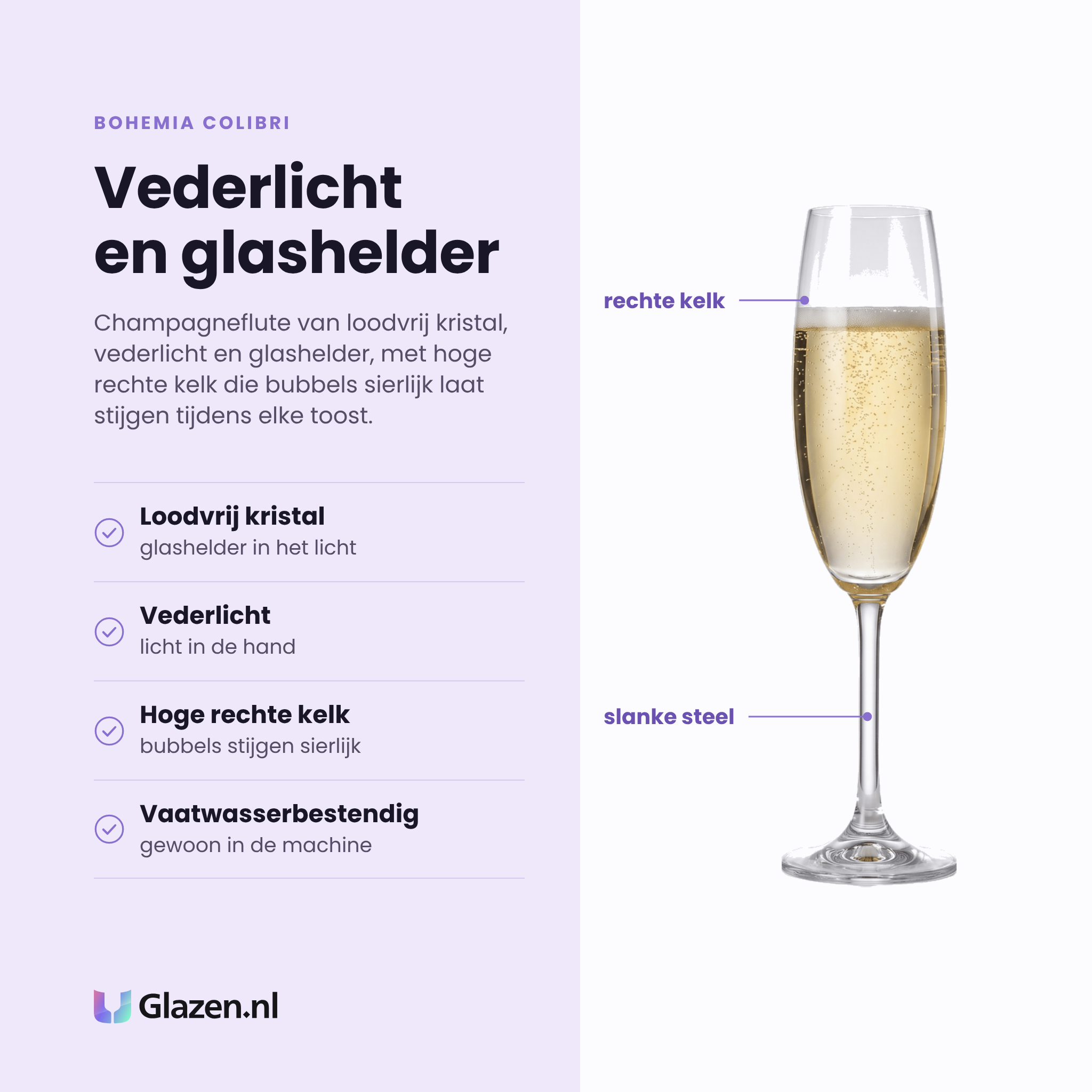Bohemia Colibri champagneflute 22 cl eigenschappen: loodvrij kristal, vederlicht in de hand, hoge rechte kelk, vaatwasserbestendig