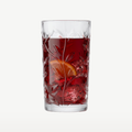 RCR Laurus Longdrinkglas 36 Cl - 6 Stuks