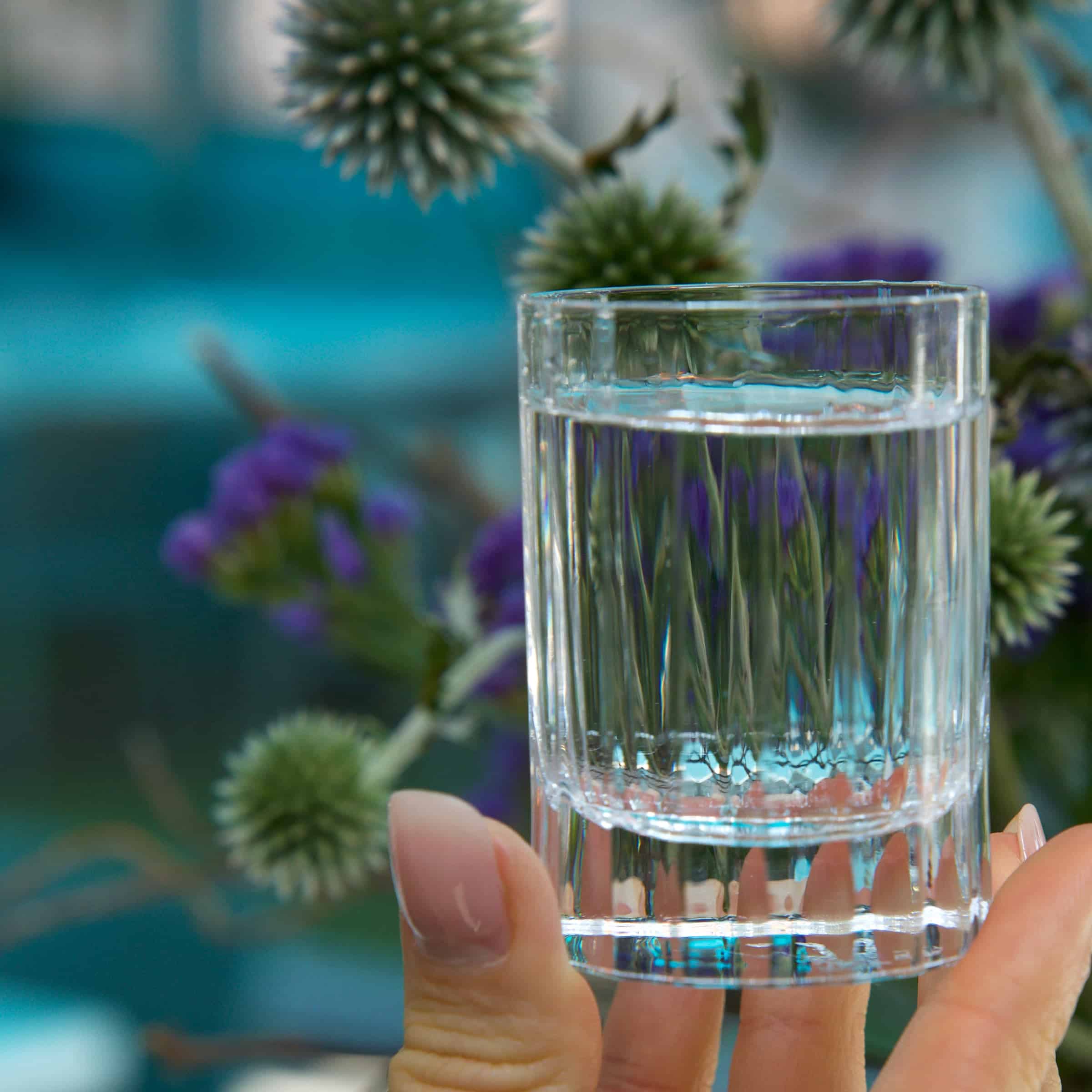 Luigi Bormioli Bach Cocktailglas 26 Cl Retro Fizz - 4 Stuks - Glazen.nl