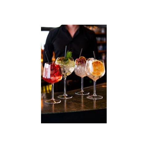 Bar Professional Ballon wijnglas 60 cl met wijn