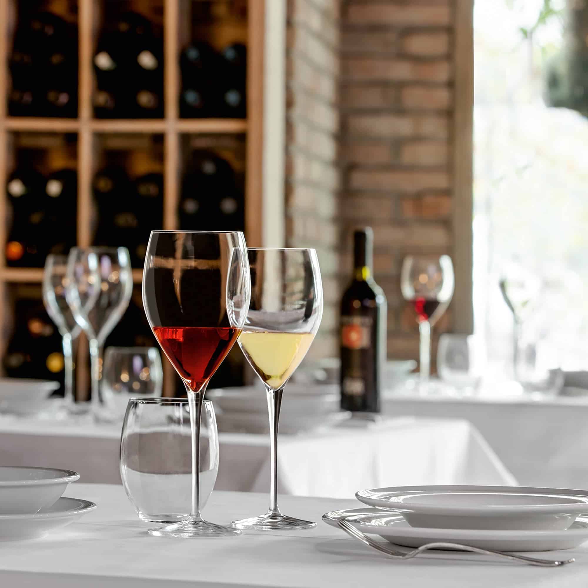 Luigi Bormioli Magnifico Wijnglas Medium 46 Cl - 4 Stuks - Glazen.nl