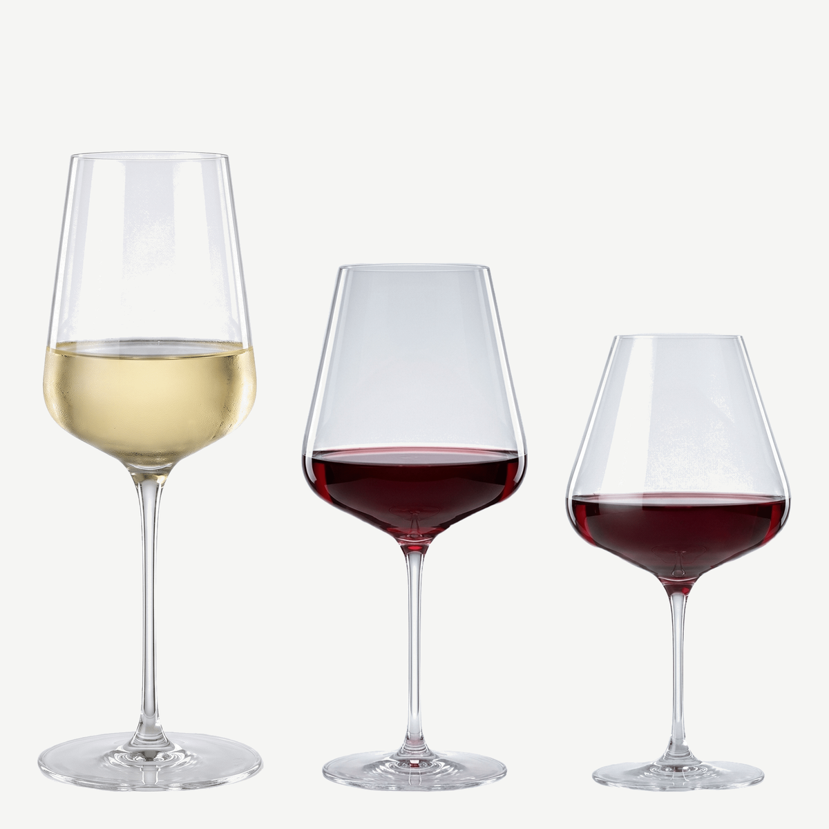 Spiegelau Definition wijnset met wit, bordeaux en bourgogne gevuld met wijn