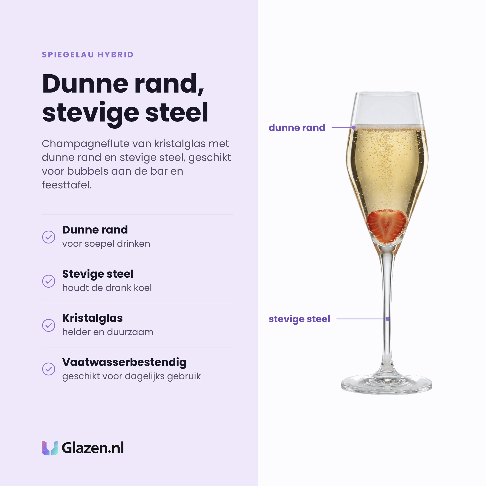 Spiegelau Hybrid champagneflute 28 cl eigenschappen: dunne rand, stevige steel, kristalglas, vaatwasserbestendig