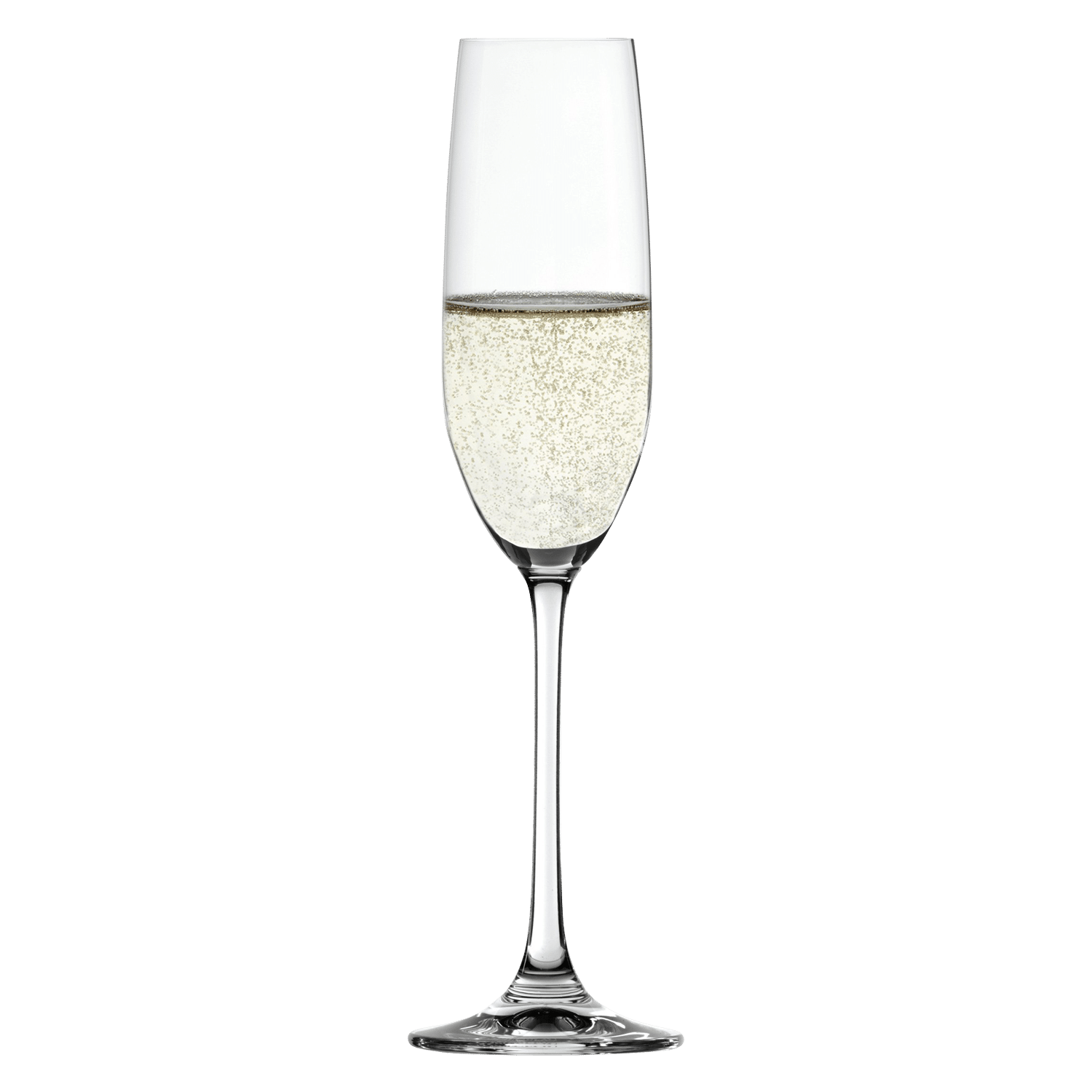 SPIEGELAU Salute Champagneglas / Flute 21 cl – 12 Stuks