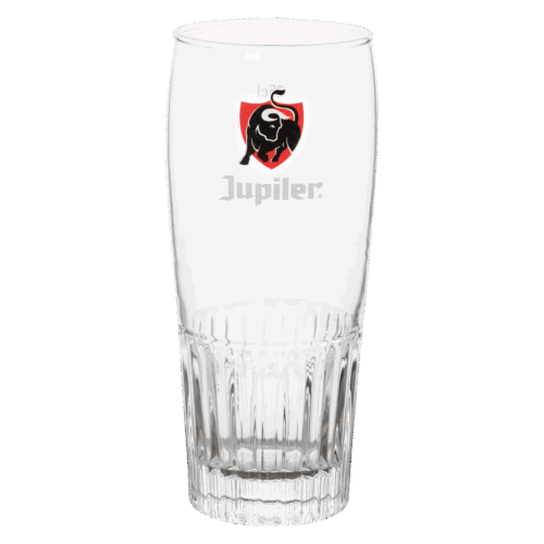 Jupiler Bierglas 25 Cl – 12 Stuks Glazen.nl